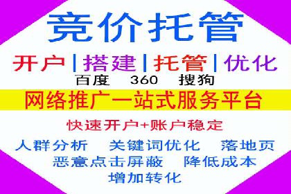 竞价排名关键词优化实战案例分析